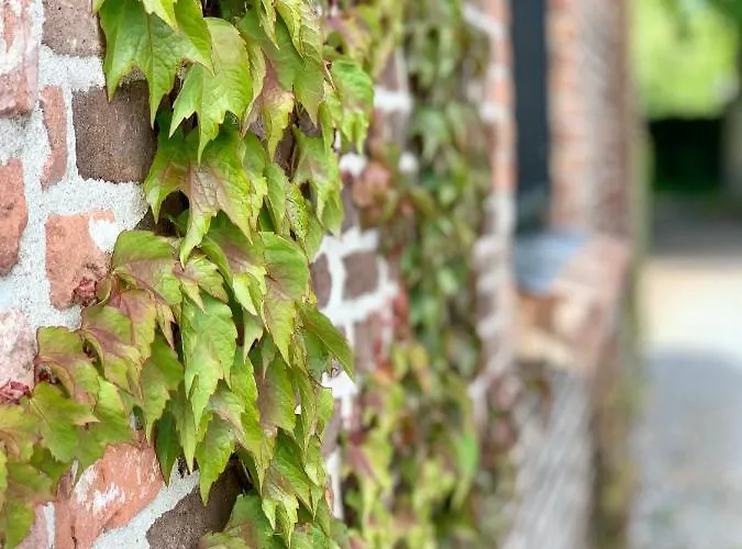 Karakter Bed & Breakfast