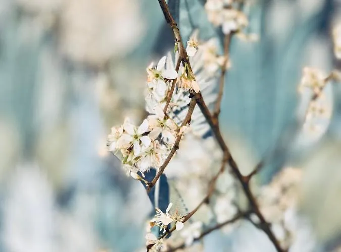 Karakter Bed and Breakfast 4*