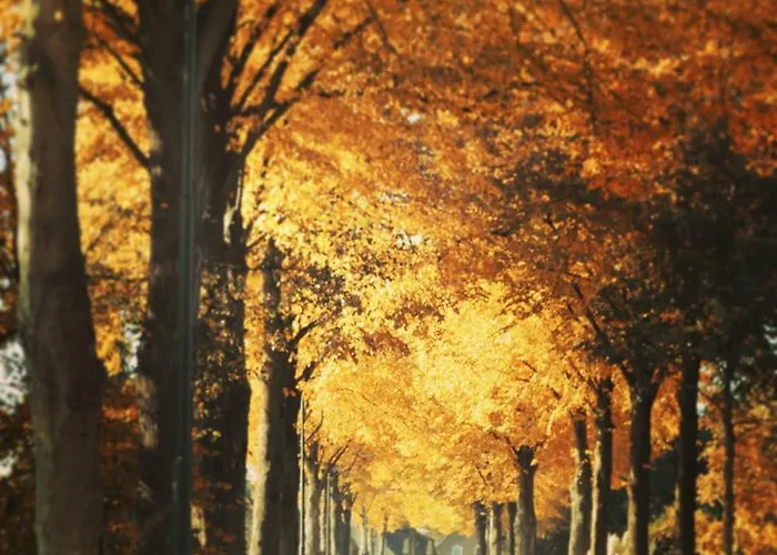 Karakter Bed and Breakfast