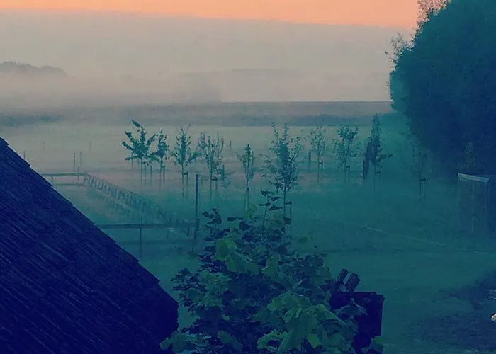 Bed and Breakfast Karakter