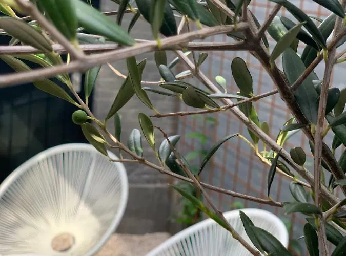 Bed and Breakfast Karakter Den Dungen