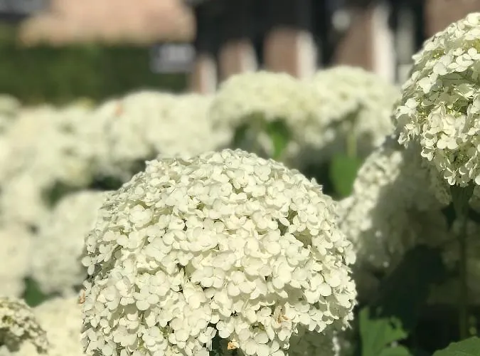 Karakter Bed and Breakfast