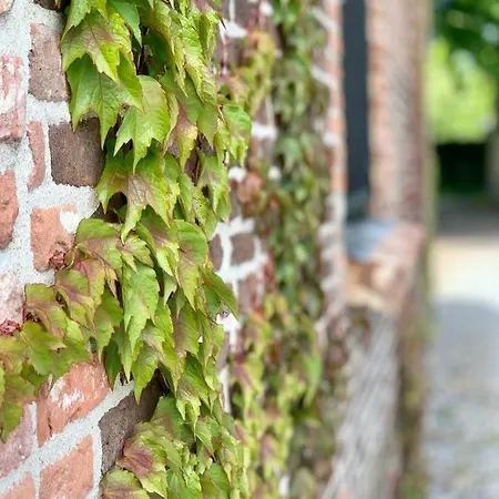 Karakter 住宿加早餐酒店