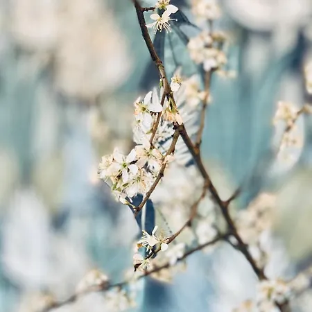 Karakter 住宿加早餐酒店 4*