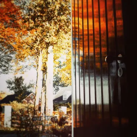 Karakter 住宿加早餐酒店 4*