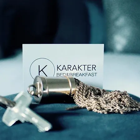 住宿加早餐酒店 Karakter Den Dungen